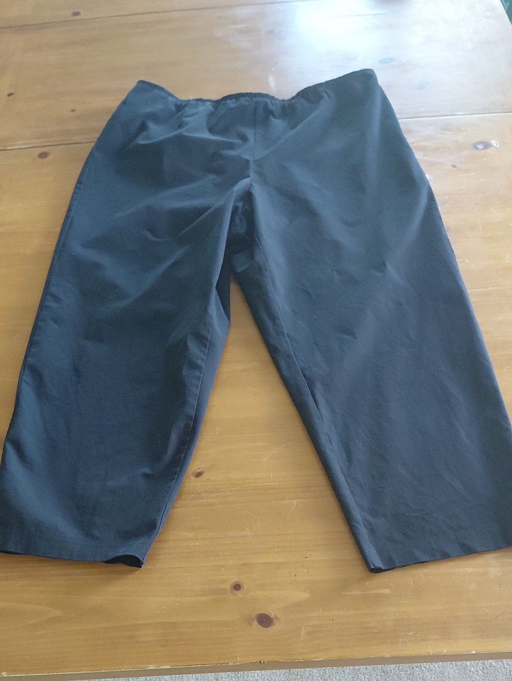 Eileen Fisher Black Cropped Womans Pants 1X